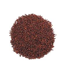 Red Mustard Seeds - Lal Shorisha (250g) View 2