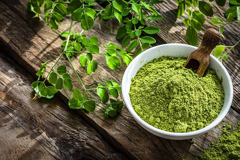 MORINGA  POWDER