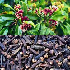 Premium Cloves - Labongo (50g) View 2